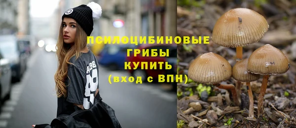 сатива Верхнеуральск