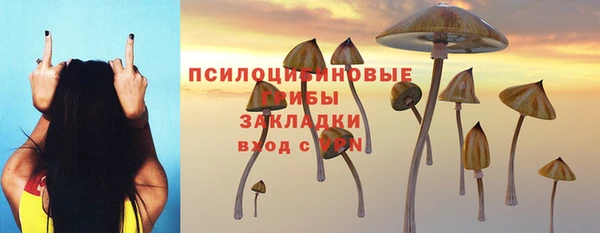 сатива Верхнеуральск