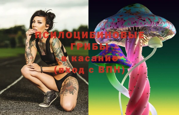сатива Верхнеуральск